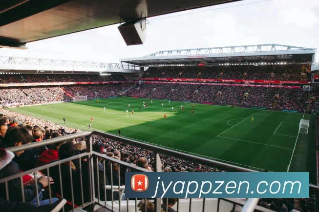 九游app服务体系